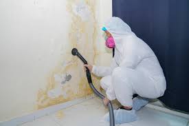 Best Mold Prevention Services in New Albany, IN